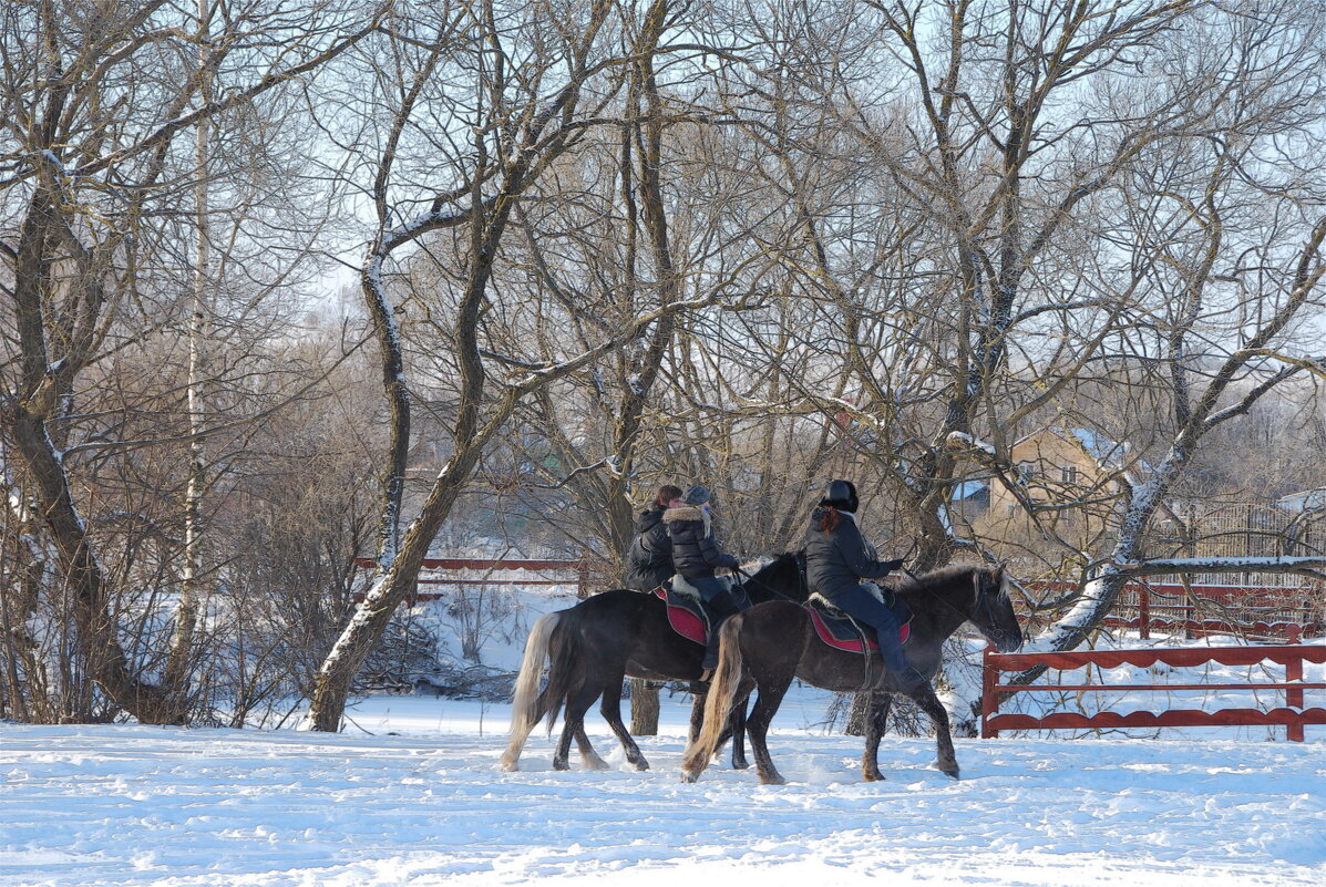 ... - Анастасия Смирнова