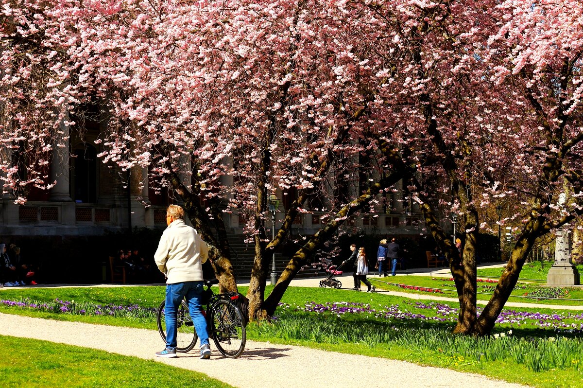 О весне - Юрий. Шмаков