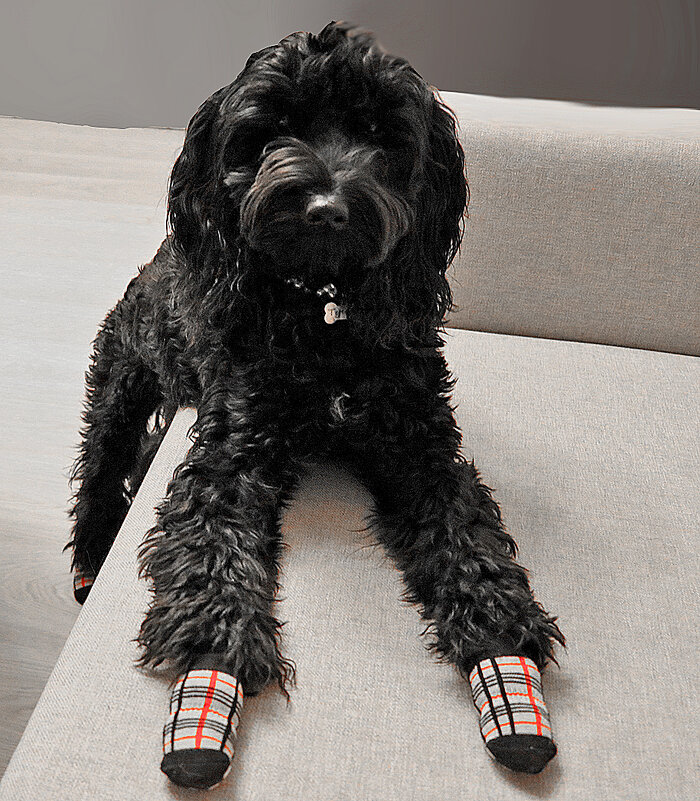 Вот какие у меня красивые носочки! - Светлана 