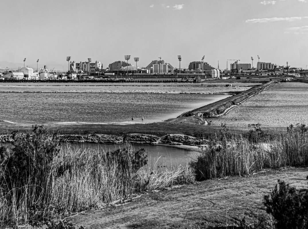 Солёные берега - Eugene *