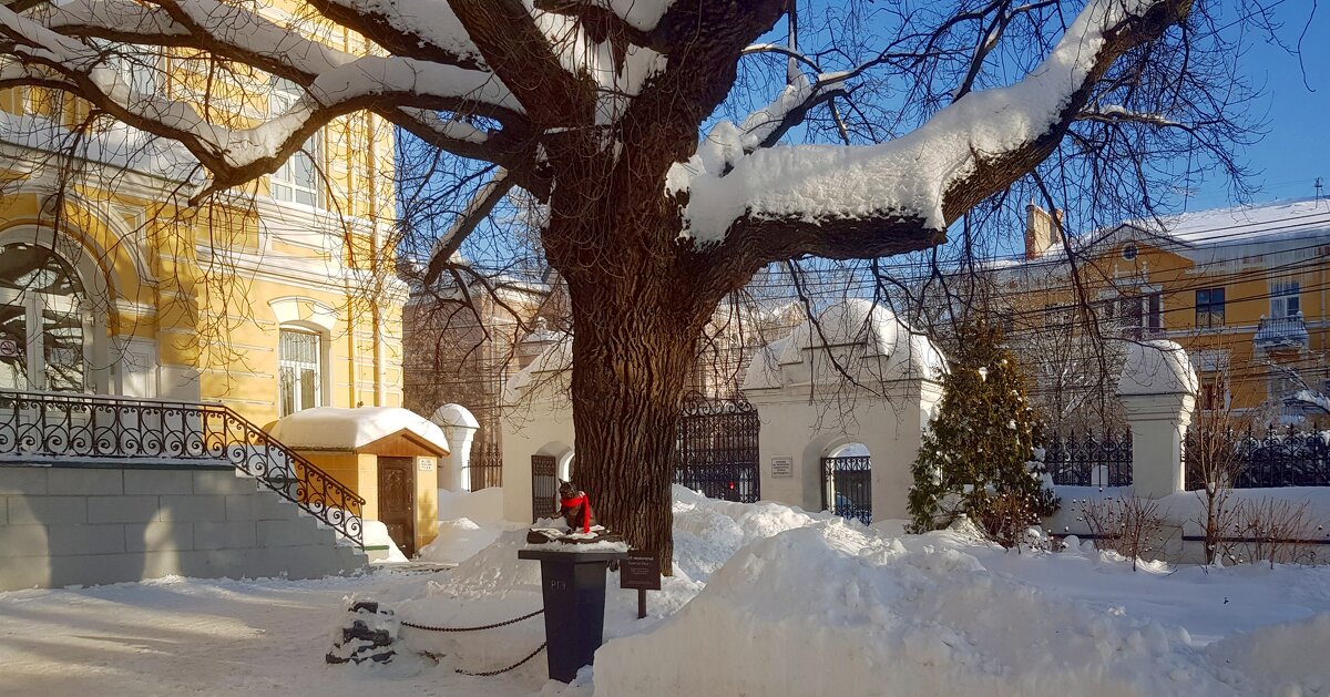 У реликтового дуба - Galina Solovova