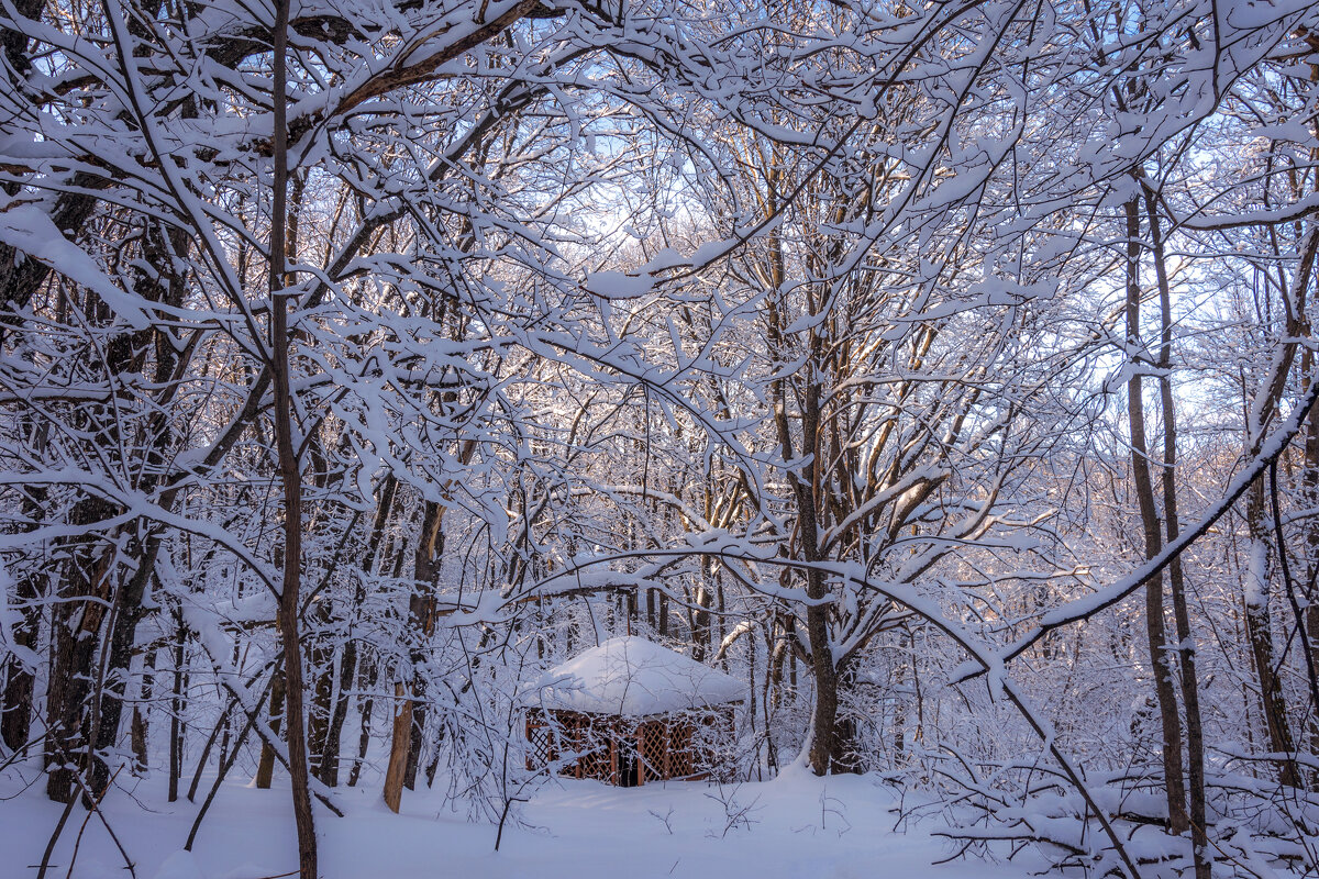 Лесная беседка - Наталья Димова