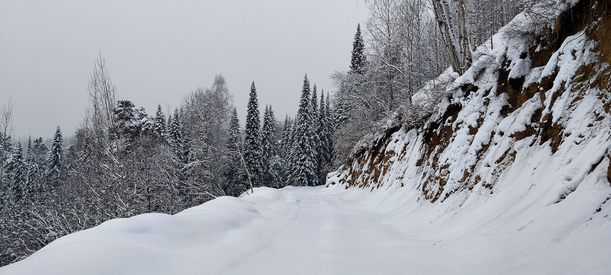 Зима - Радмир Арсеньев