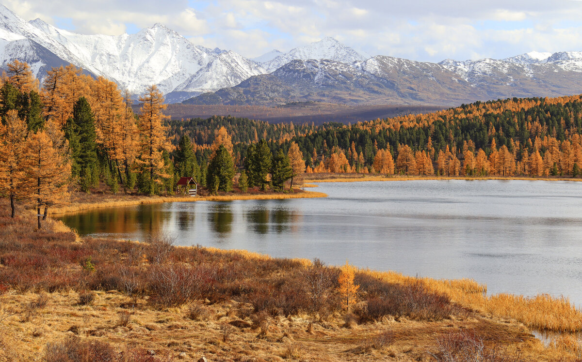 Киделю - елена беликова