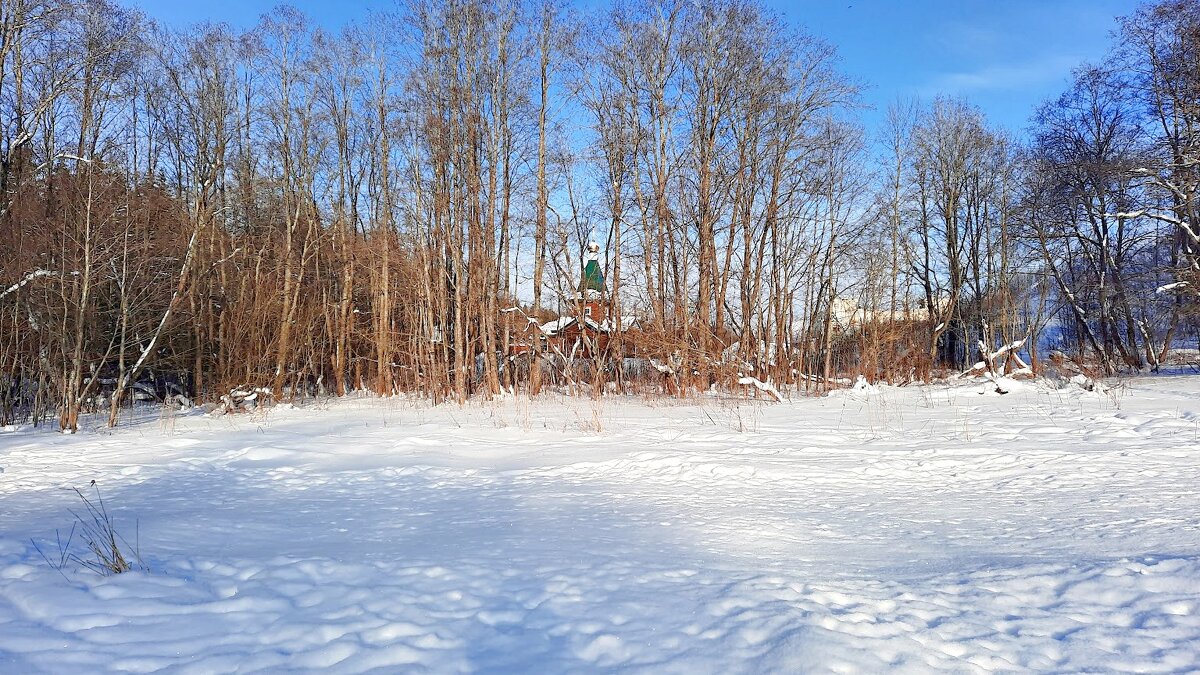 *** - веселов михаил 