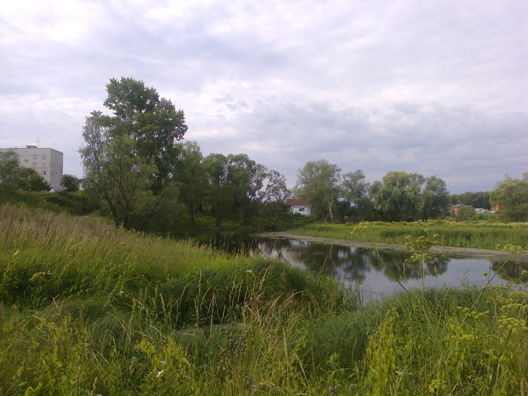 без названия - fogmeadowww m