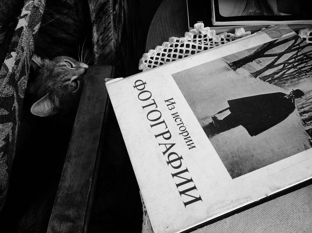 Котье Брессон - Maria Rainer