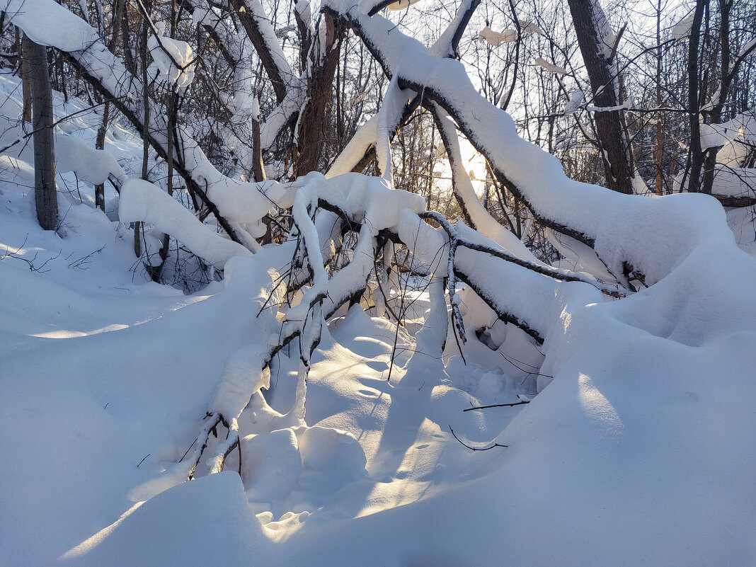 Зимний пейзаж - Денис Масленников
