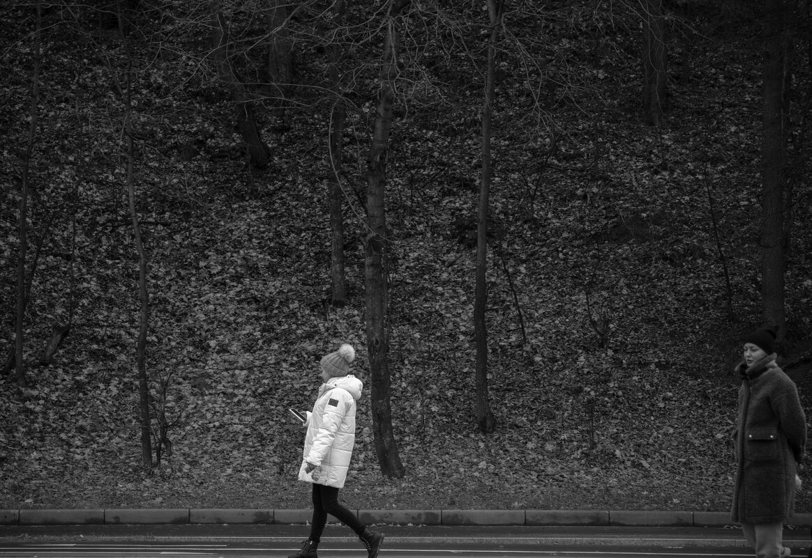 Прогулка - Игорь Николаев