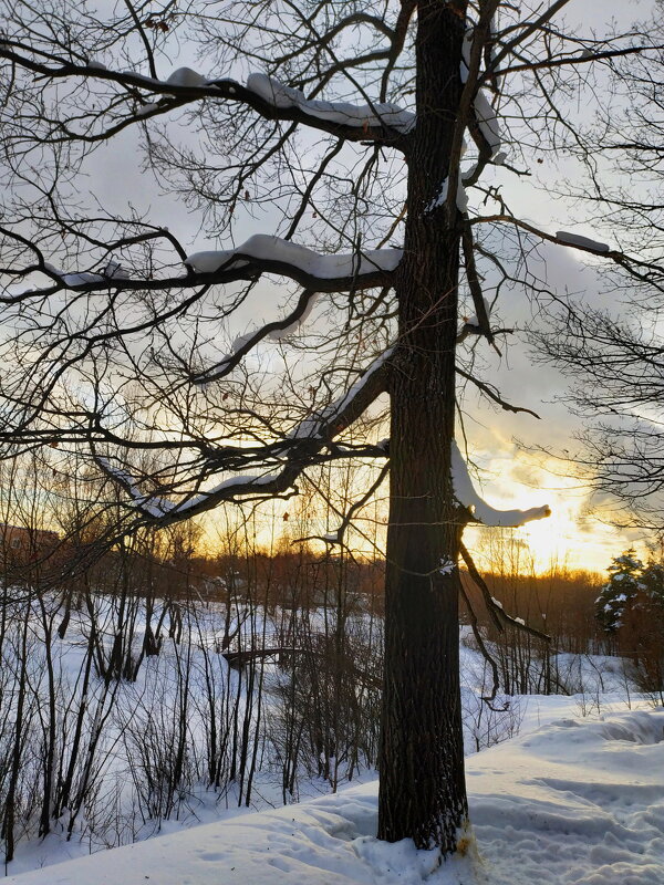 Февраль продолжается - Андрей Лукьянов