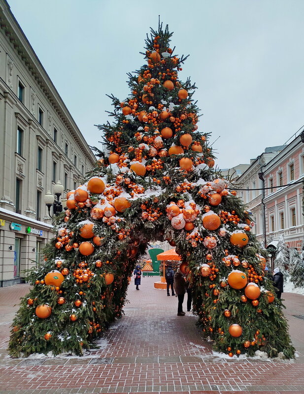 Триумфальная елка - Александр Чеботарь