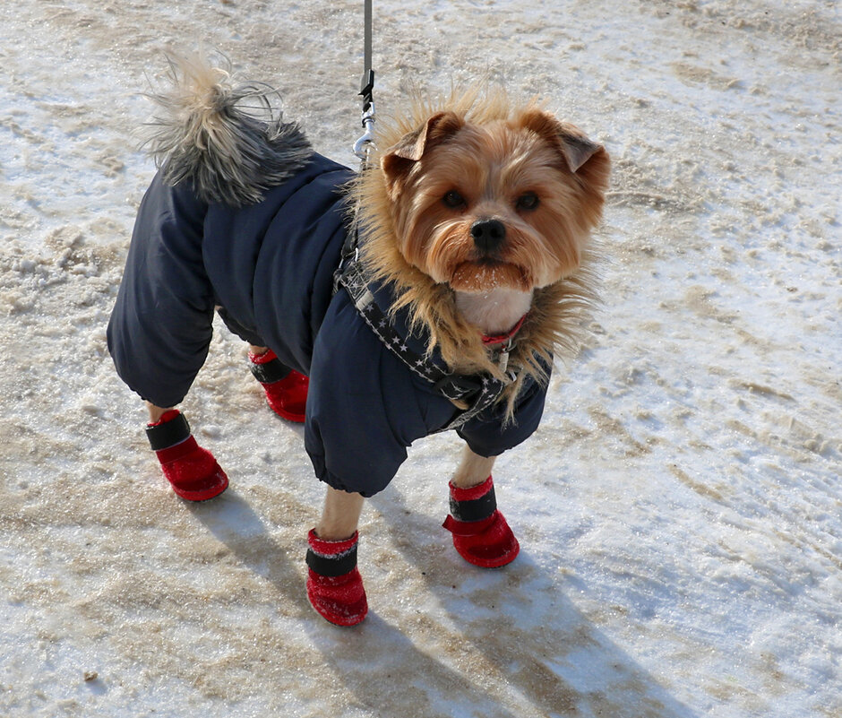 Привет! Меня зовут Юра... - Светлана 