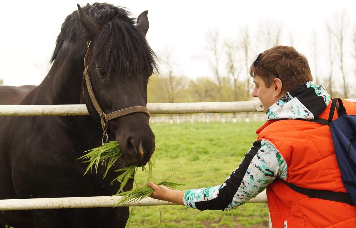 Я по бывал на экскурсии по конному заводу восходу - Вячеслав Коломойцев Владимирович