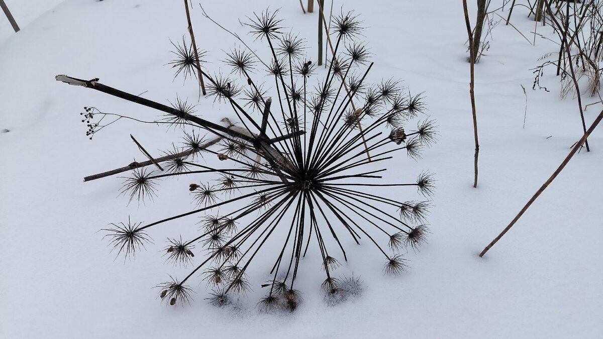 Поверженный враг. - Ольга 