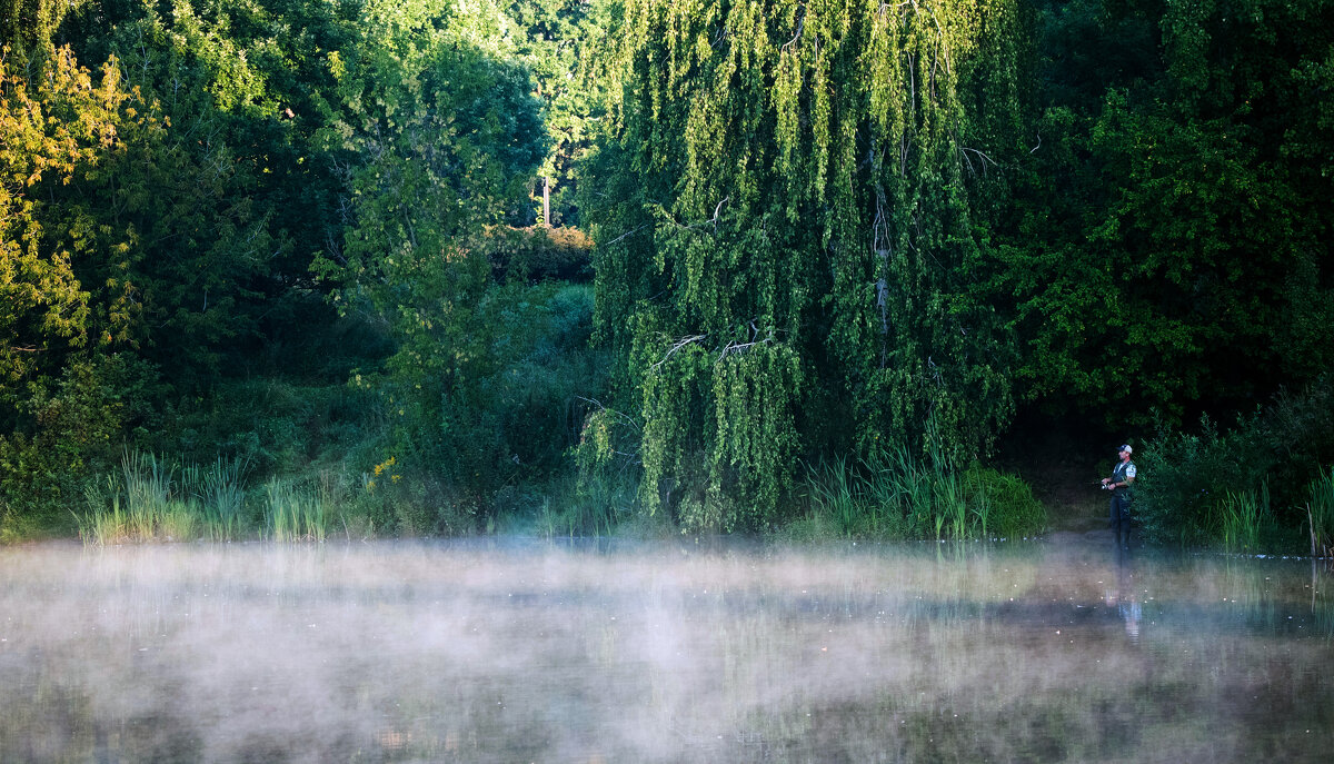 Прохладное утро. - Владимир Безбородов