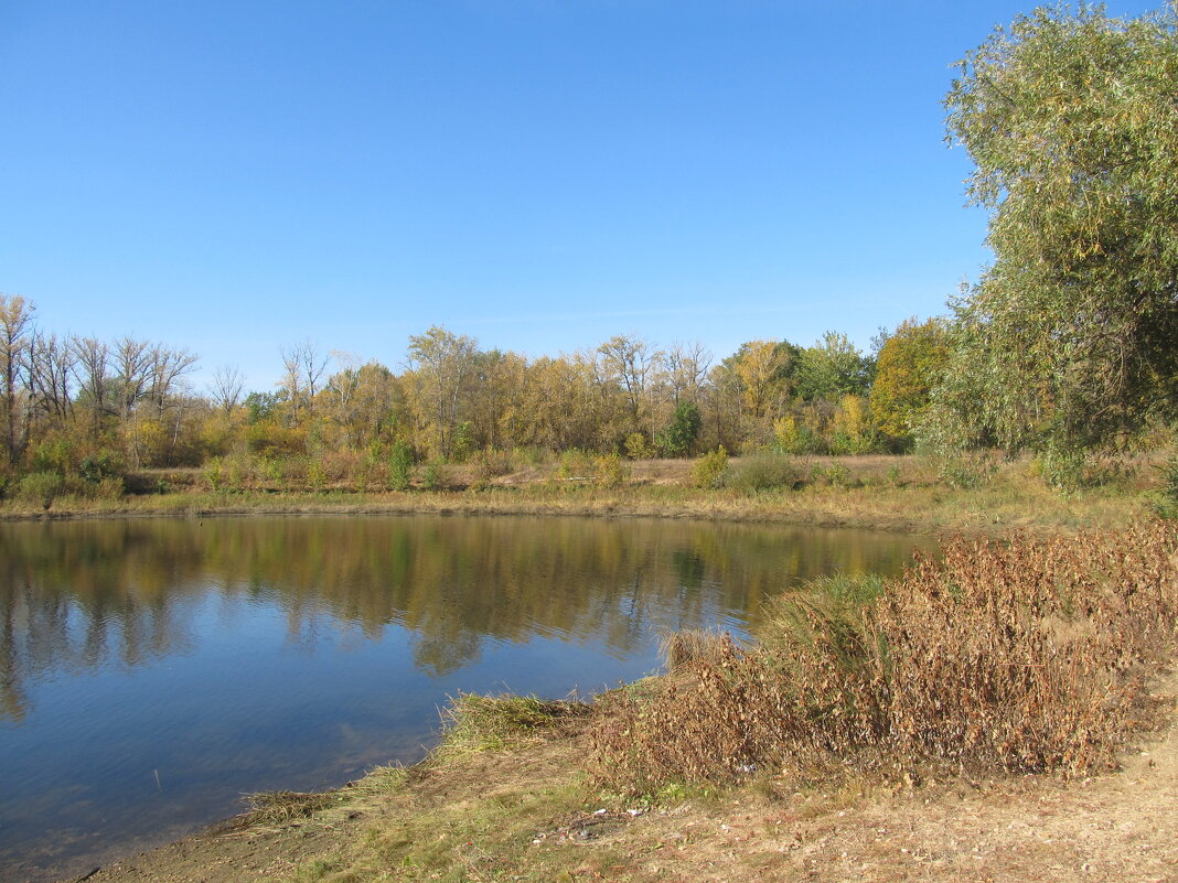 тихий октябрь - Елена Шаламова