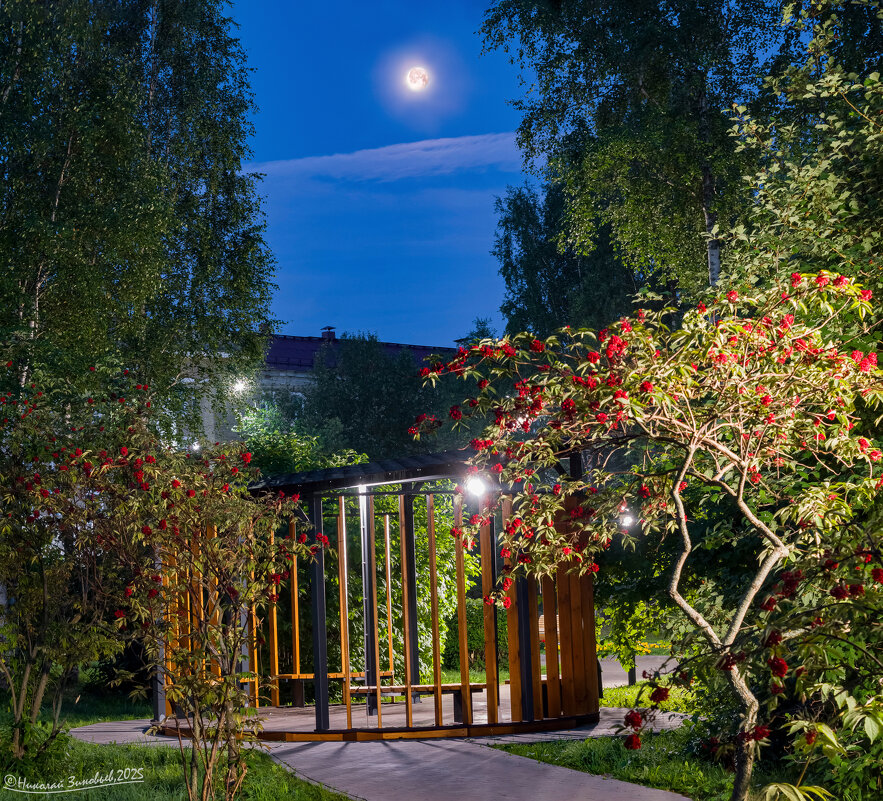 Лунная ночь в ухтинском парке - Николай Зиновьев