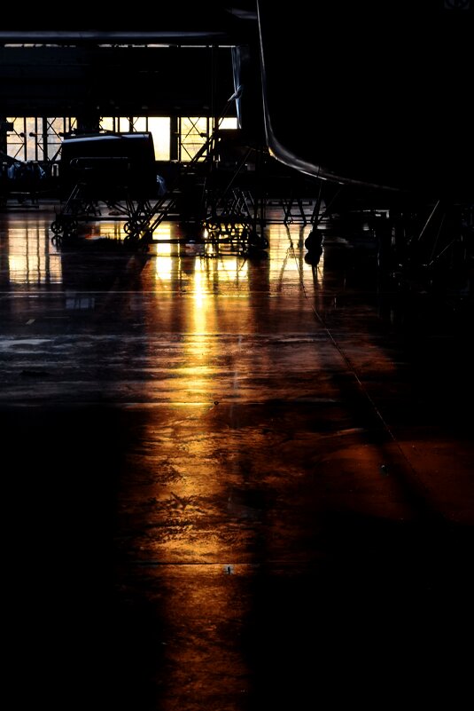 * - Сергей Полянский