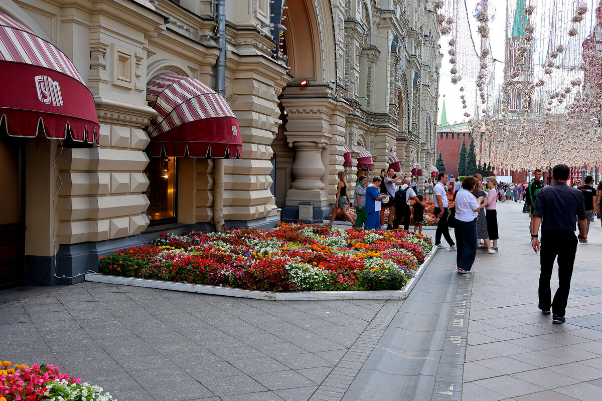 Никольская - Игорь Белоногов