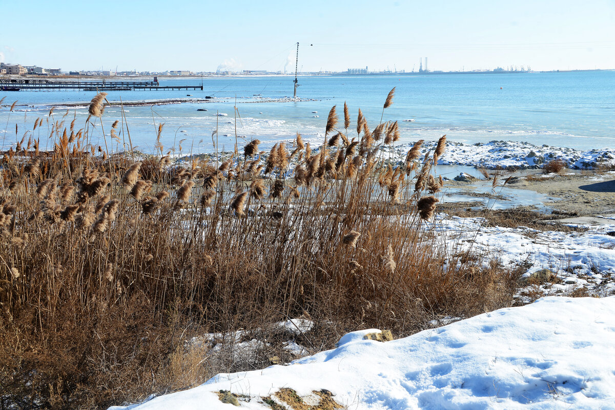 Берег Каспия - Анатолий Чикчирный