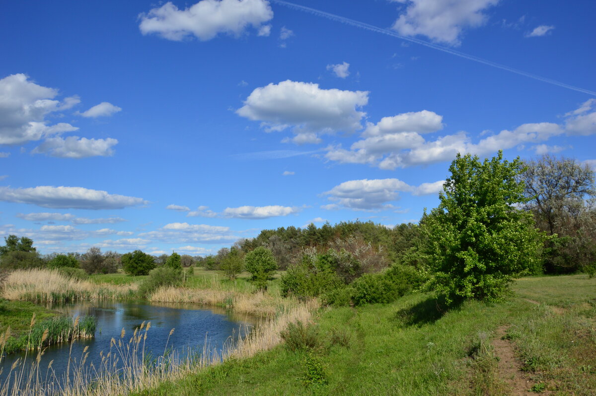 У реки! - Виктор 