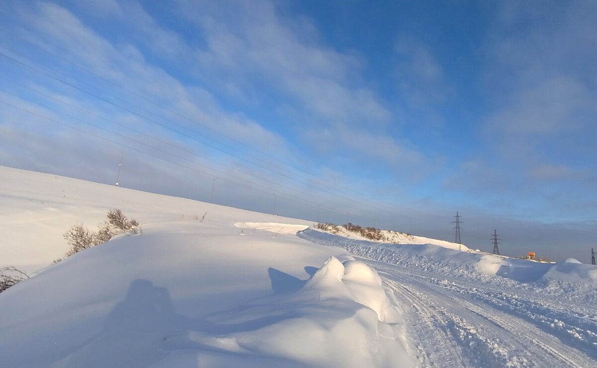 Просторы - светлана льдокова
