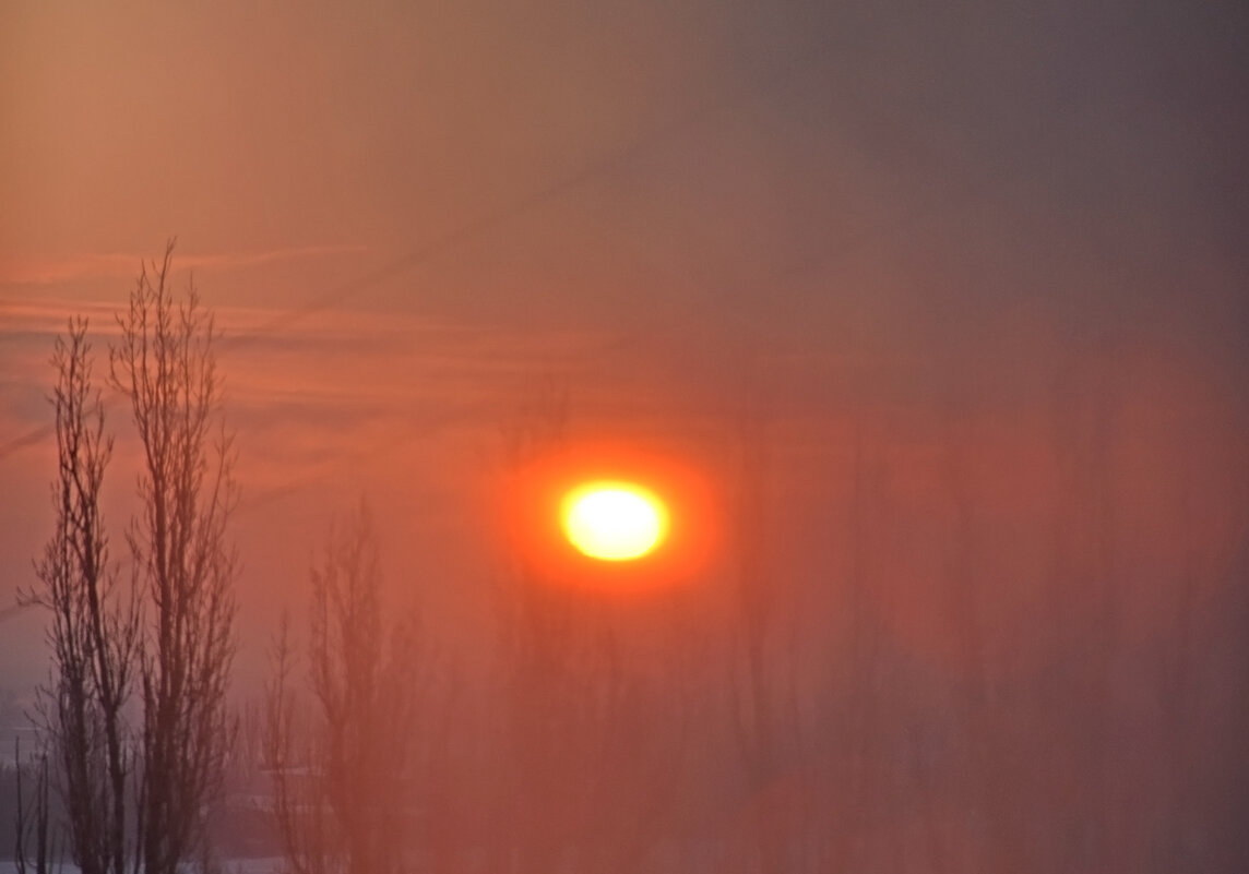 Солнце в тумане. - Валентина  Нефёдова 