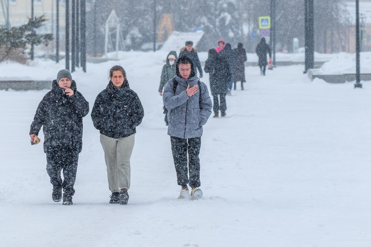 Снег идёт ... - Анатолий. Chesnavik.