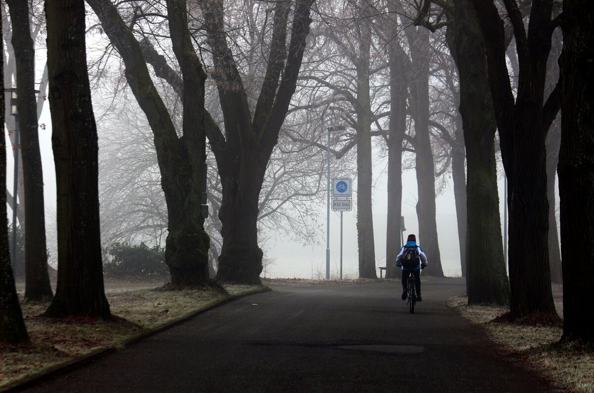 В школу - Юрий. Шмаков