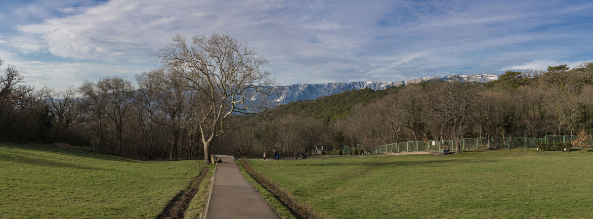 Массандровский парк - Елена Агеева