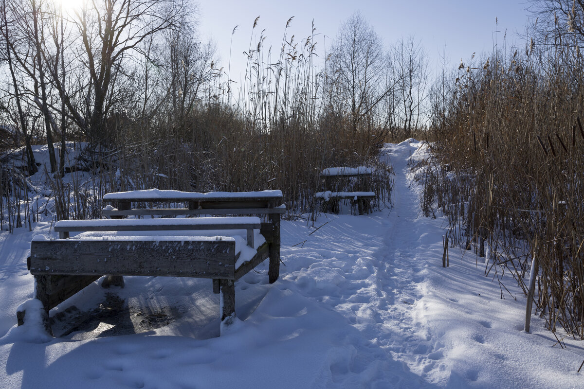 *** - Елена Агеева