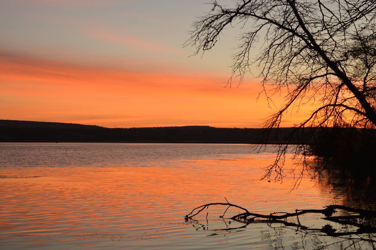 Ярким розовым рассветом пробудился день осенний... - Надежда Куркина 