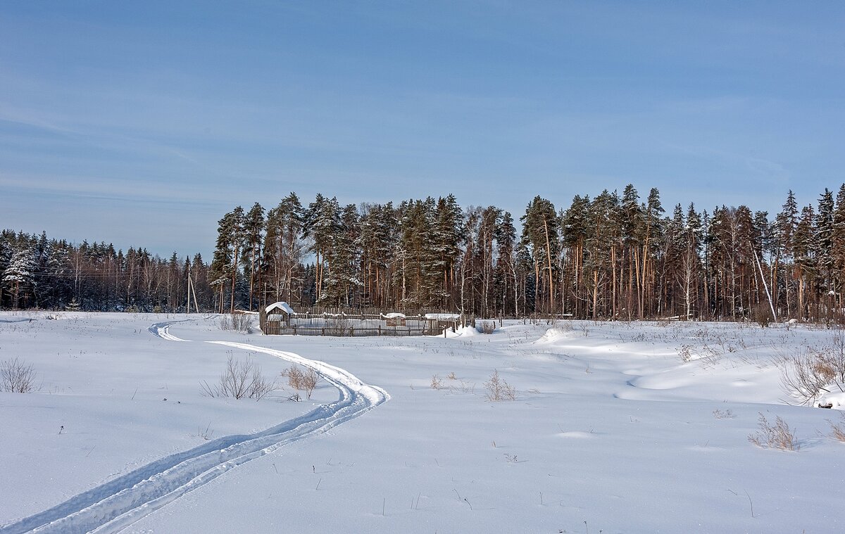 По снежной целине - Валерий Иванович