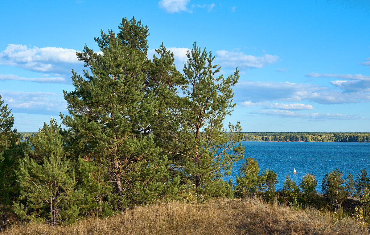 Обское водохранилище - Дмитрий Конев