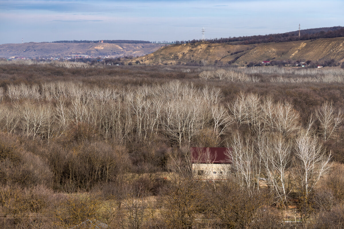 Окрестности - Игорь Сикорский