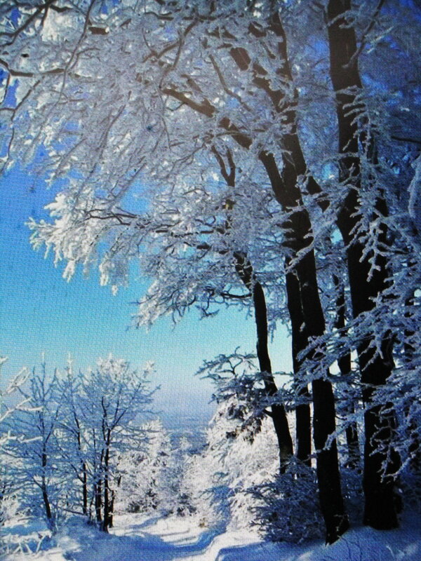 Красота зимы - Людмила Смородинская