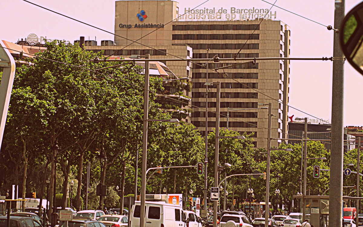 Барселона. - Владимир Драгунский