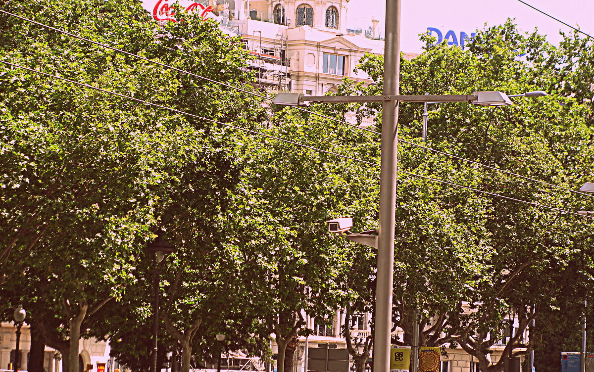 Барселона. - Владимир Драгунский