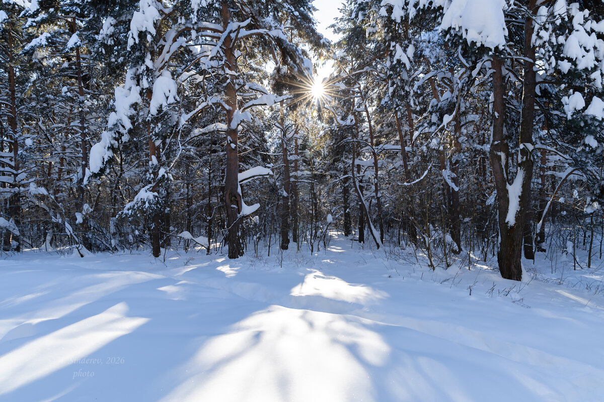 Морозный пейзаж - Александр Синдерёв
