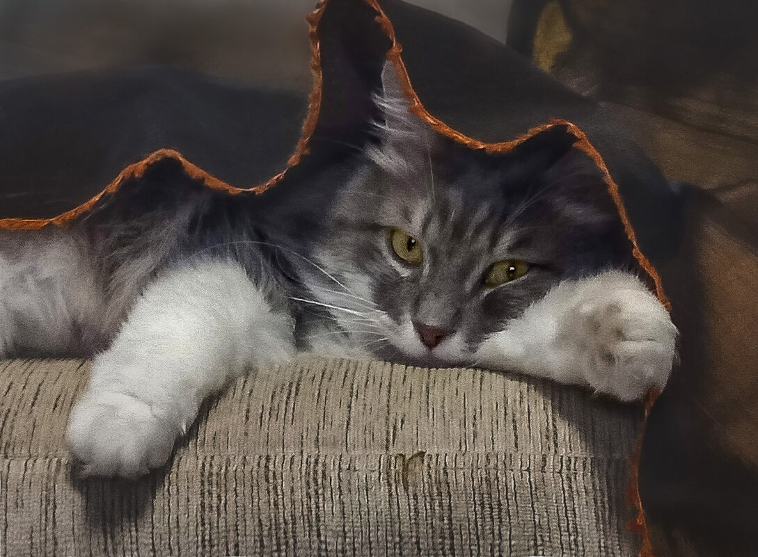 Жулик. Очень приятно.Жулик. - LudMila Жулик. Очень приятно.Жулик. - LudMila