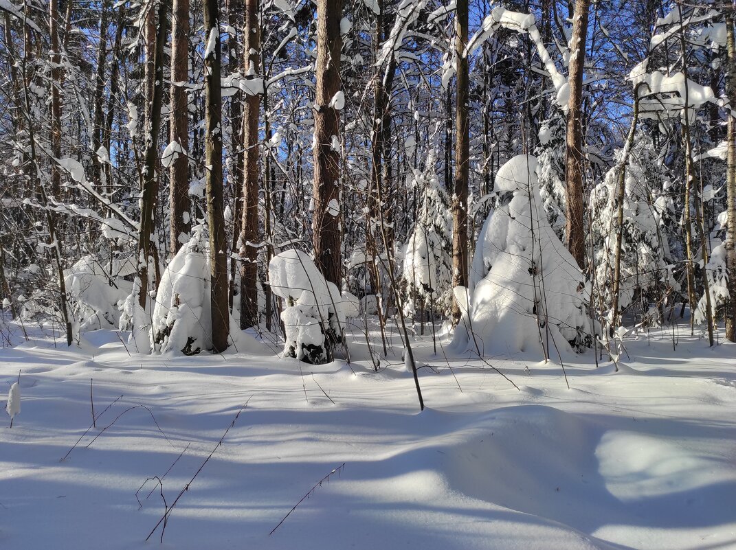 Фигуры, свет и тени - Игорь Ч.