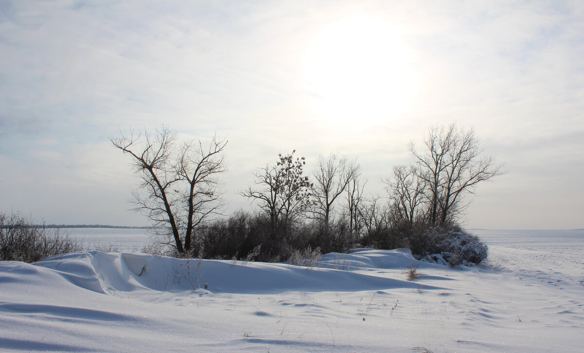 Зима. - Александр. AVG100 ---