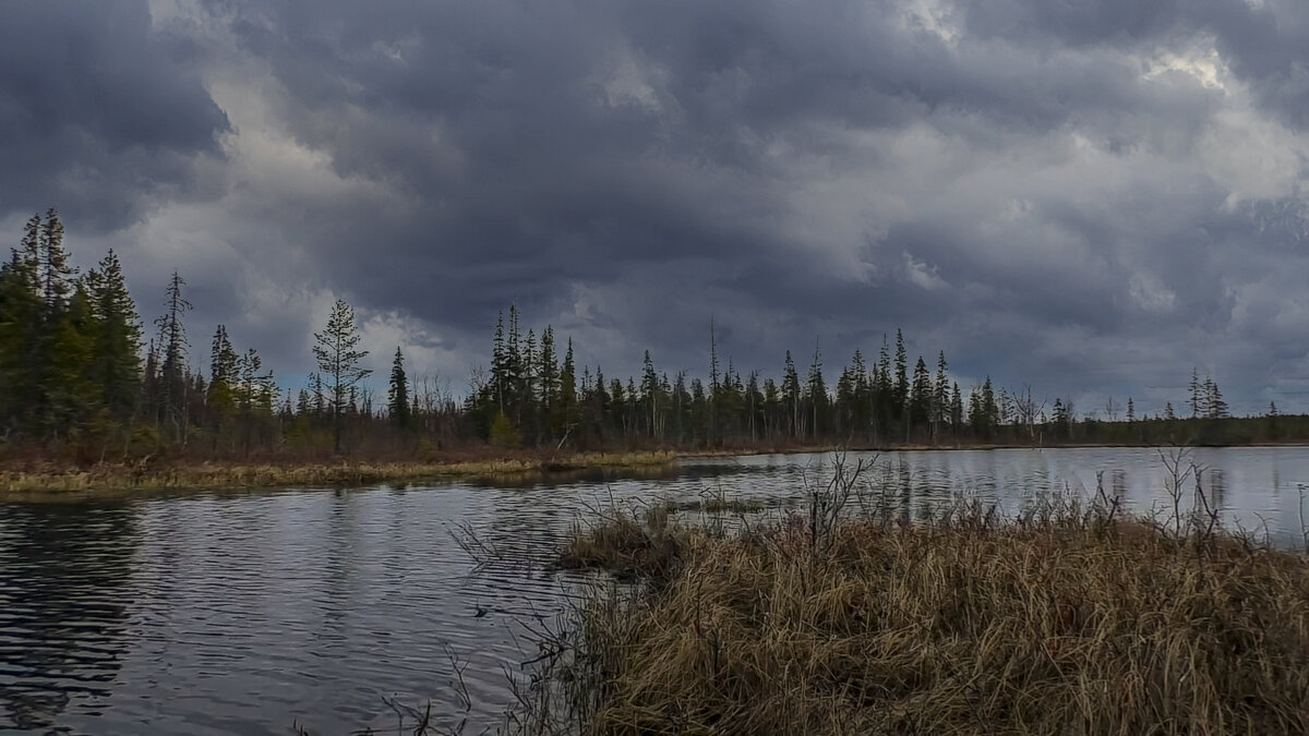 Тайга сибири - Aleksey Afonin