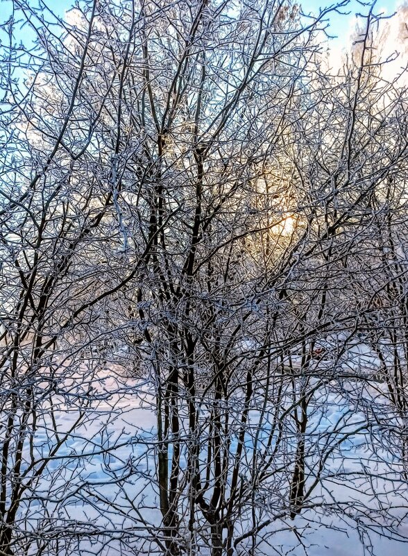 В парке Тондилоо - Veera V