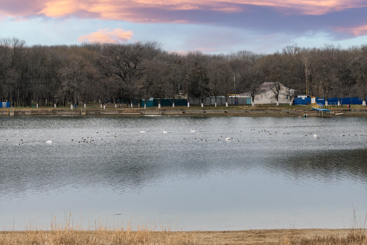 Городское водохранилище - Игорь Сикорский Городское водохранилище - Игорь Сикорский