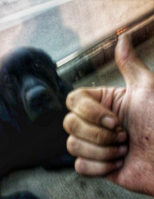 Уже забытая фото, чисто ностальгия. - Александр Вадимович Crew smail