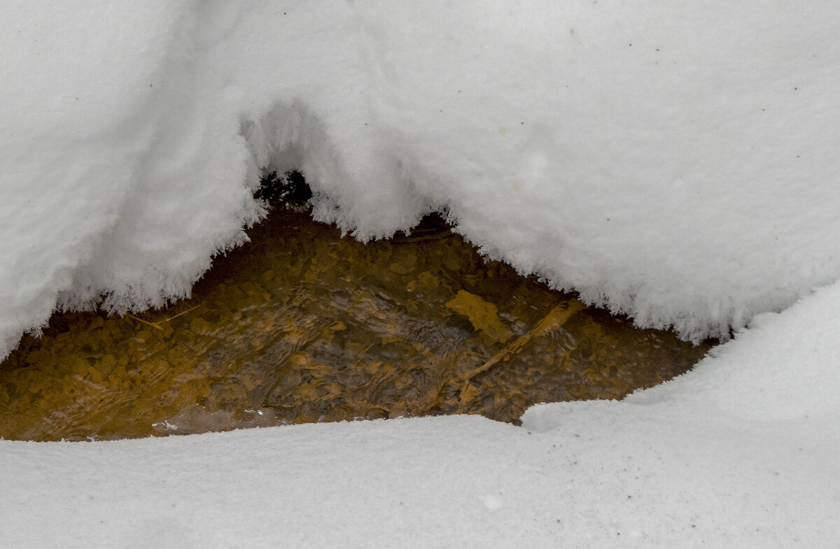 Под снежной шубой - Сергей Цветков Под снежной шубой - Сергей Цветков
