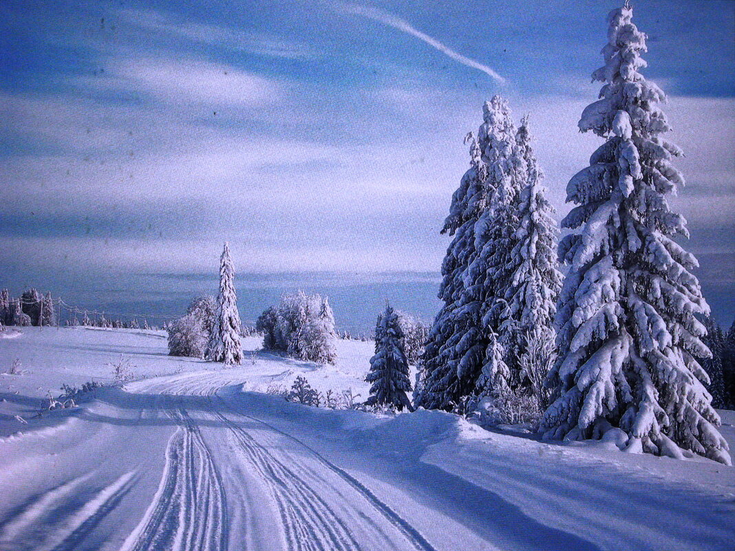 Зимняя красота - Людмила Смородинская