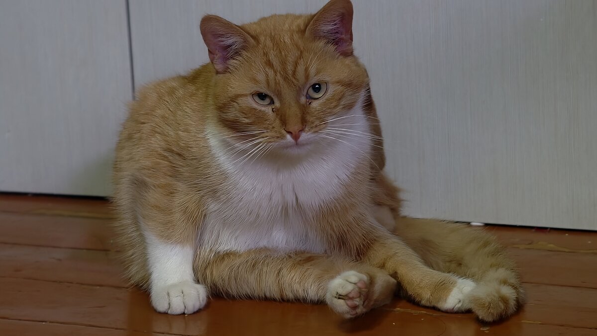 Ну и чего тебе от меня надо? - Мариша 