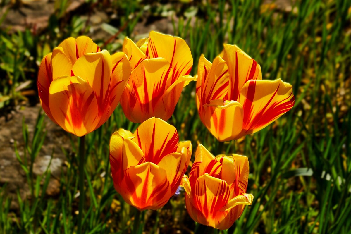 Доброе утро - Юрий. Шмаков Доброе утро - Юрий. Шмаков